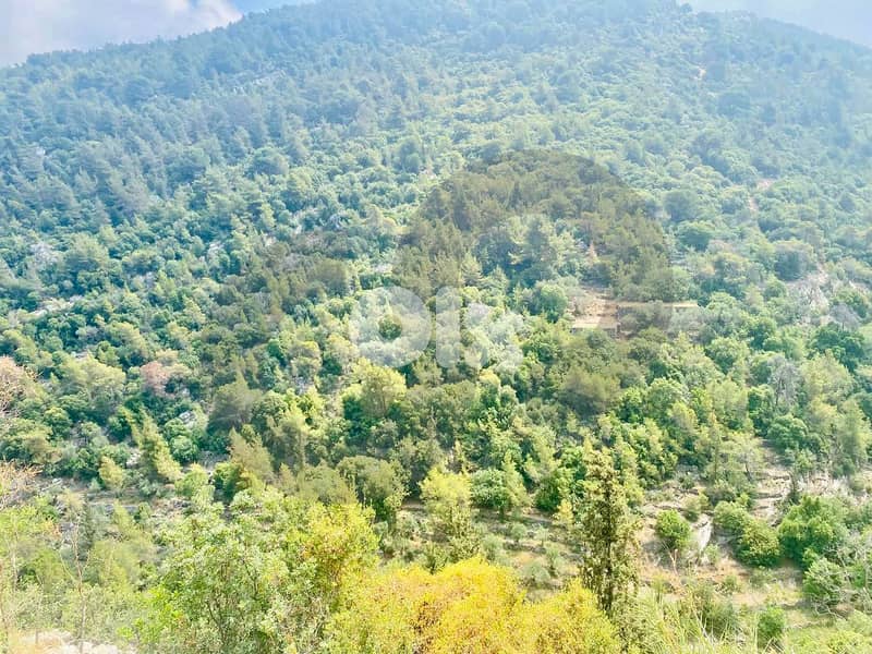 Prime location, sea view, keserwan, ghazir/غزير REF#CA128688 1