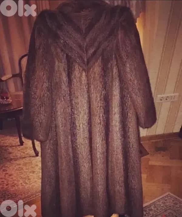 Real coat beaver 0