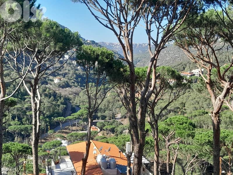 Land For Sale In Baabdat / Zehrieh ارض للبيع في بعبدات الزاهرية 2