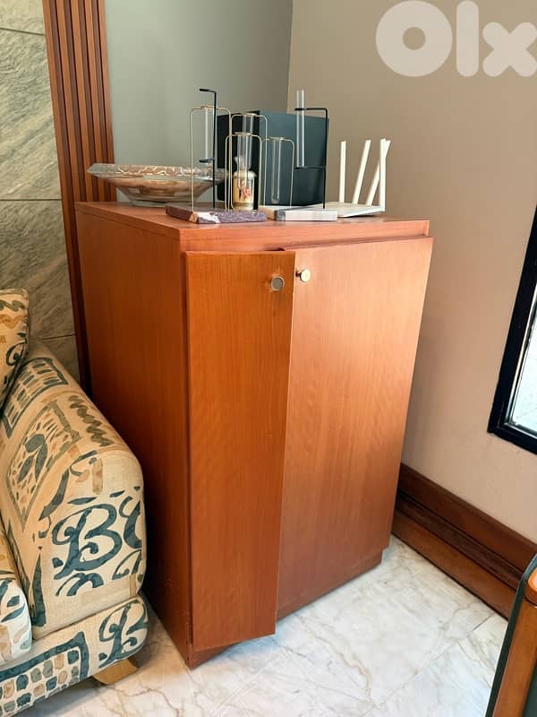 salon 1 fauteuil +2 armchairs +center table +side table 6