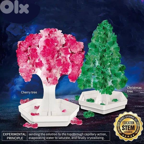 Crystal Trees STEM 8