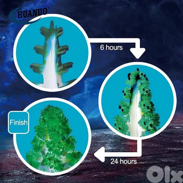 Crystal Trees STEM 9