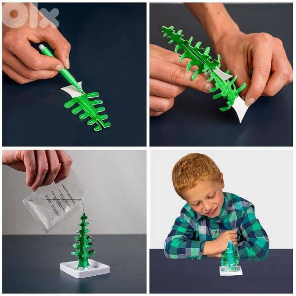 Crystal Trees STEM 13