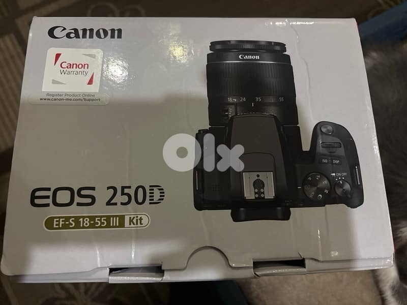 canon 250d 0
