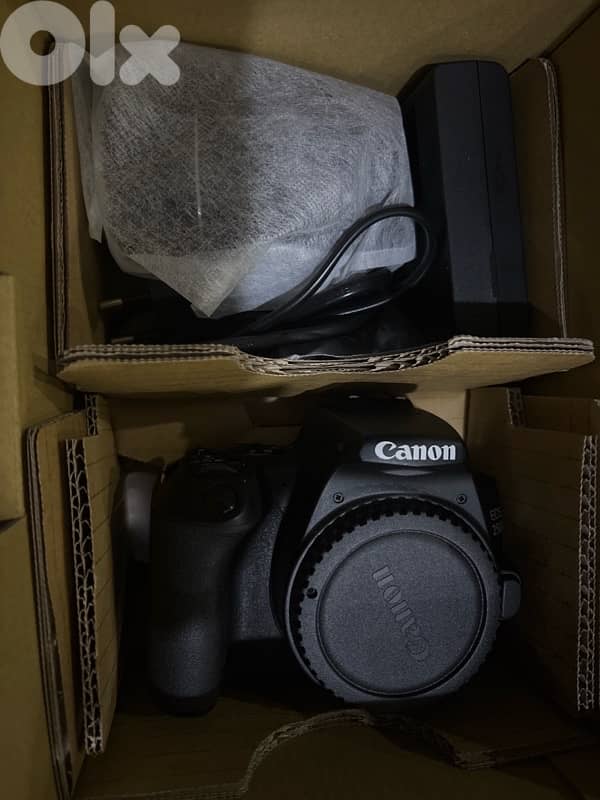 canon 250d 1