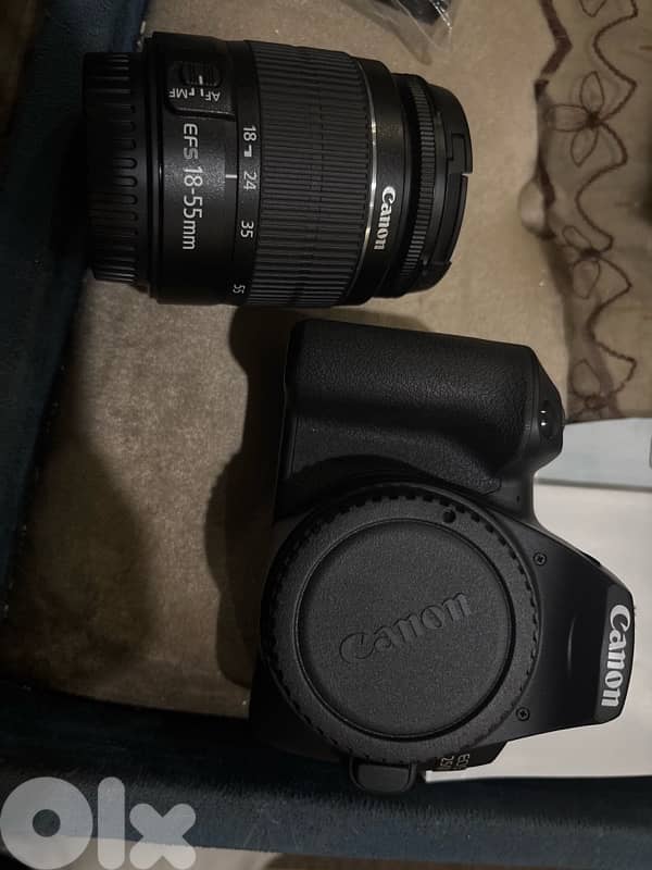 canon 250d 2
