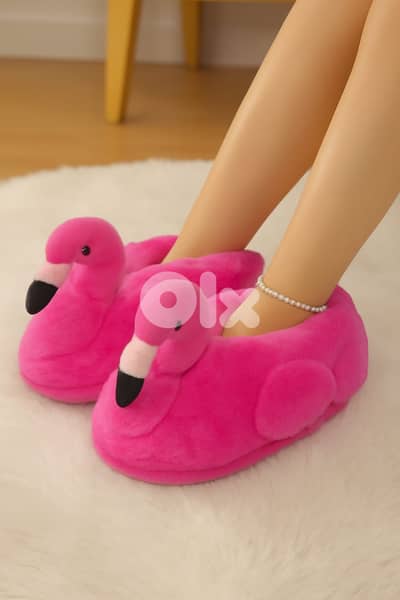 ولادي و نسواني