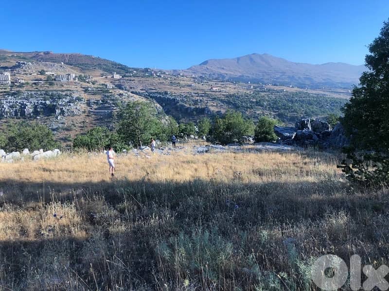 Land for sale in Tarchich 1