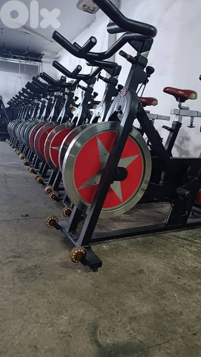 Spinning bike professional Brand shwinn  European 03 027072 GEO SPORT