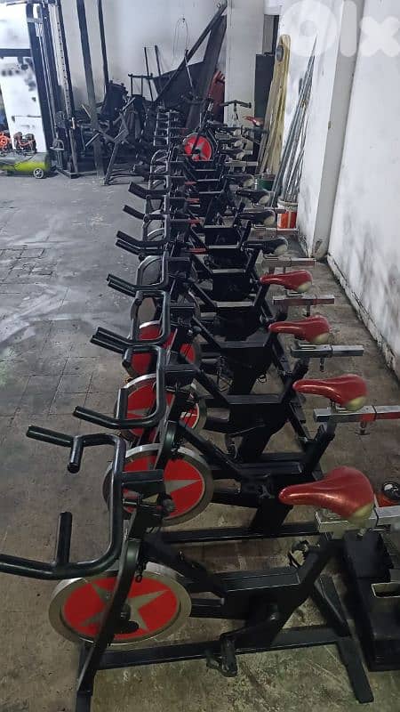 Spinning bike professional Brand shwinn  European 03 027072 GEO SPORT 1