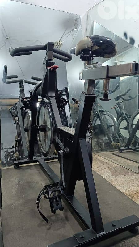 Spinning bike professional Brand shwinn  European 03 027072 GEO SPORT 2