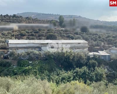 للبيع مزرعة دواجن في منيارة /Miniara  REF#SM128749