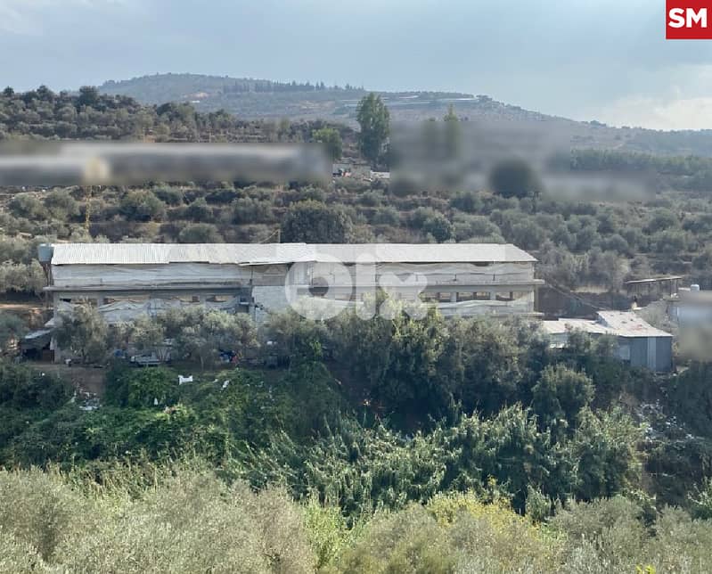 للبيع مزرعة دواجن في منيارة /Miniara  REF#SM128749 0