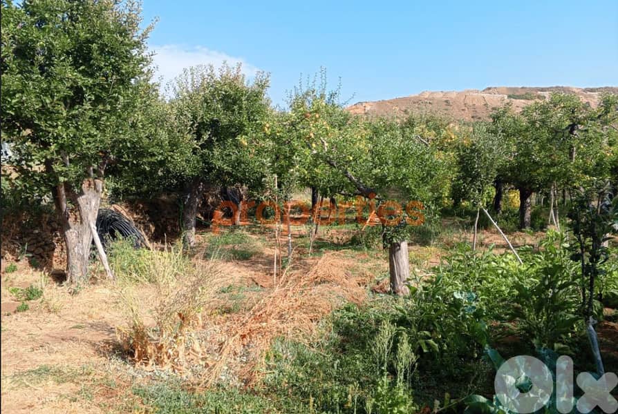Land for Sale in Zaarour – CPSM415 0
