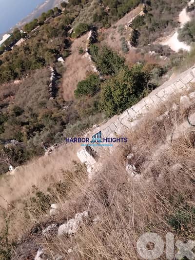 Land for sale in Aalali, Batroun أرض للبيع في علالي، البترون
