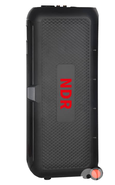 Professional Speakers 3