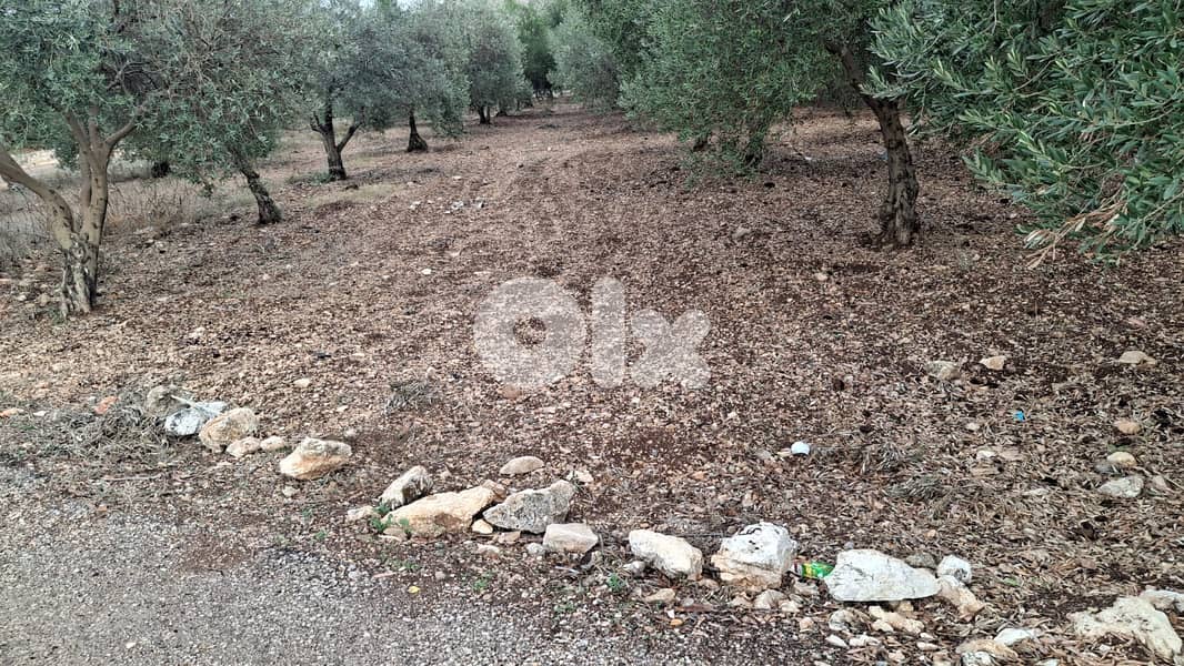 Land for sale in Bziza-Koura - أرض للبيع في بزيزا - الكورة 0