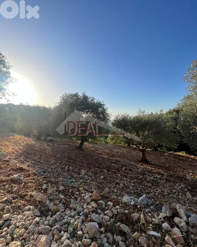 Land for sale in Batroun Helta عقار للبيع في حلتا بترون 1
