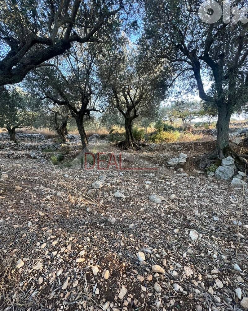 Land for sale in Batroun Helta عقار للبيع في حلتا بترون 2