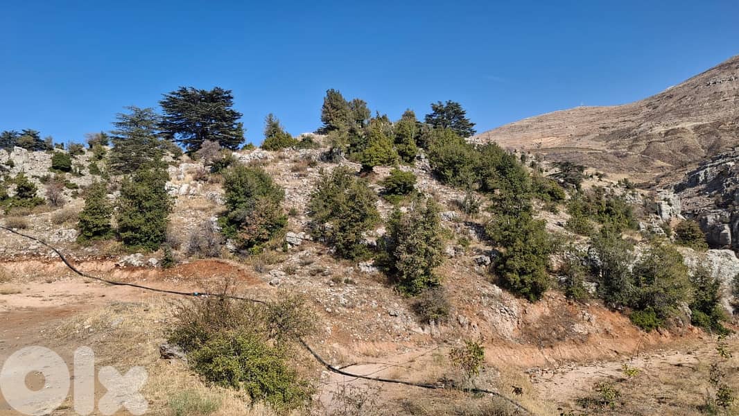 Land for sale in Abdine-Bcharre - أرض للبيع في عبدين - بشري 0