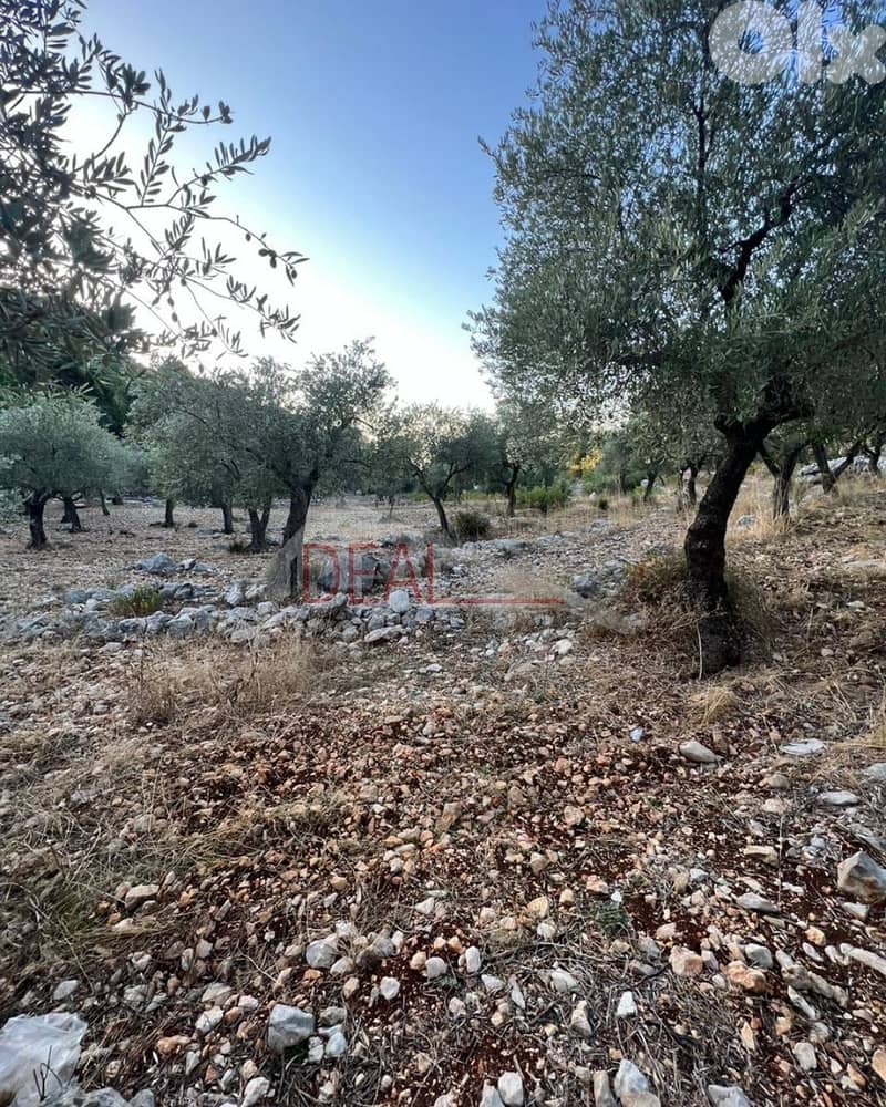 Land for sale in Batroun Helta  عقار للبيع في حلتا بترون 1