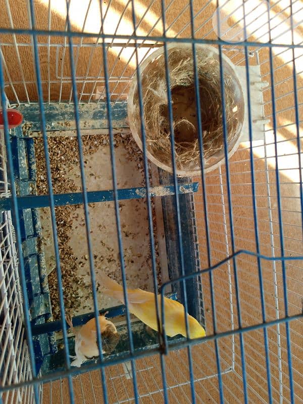 كنارات اغات و غلستر و بلدي و موزيك و مناديق 3