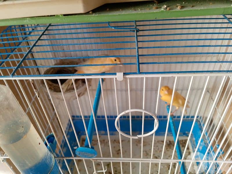 كنارات اغات و غلستر و بلدي و موزيك و مناديق 4