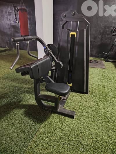 biceps and triceps machine used like new