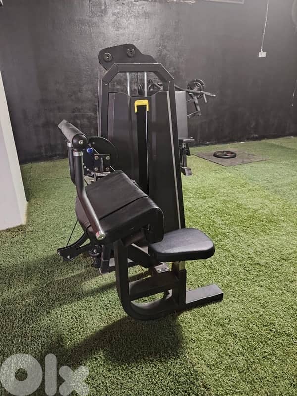 biceps and triceps machine used like new 1