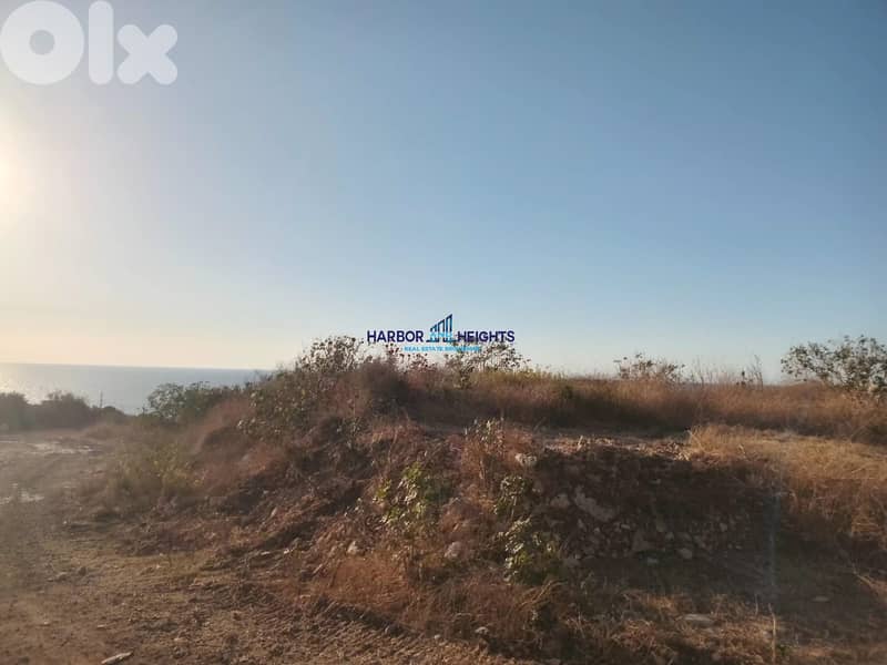 Land for sale in Kfar Abida, Batroun 1