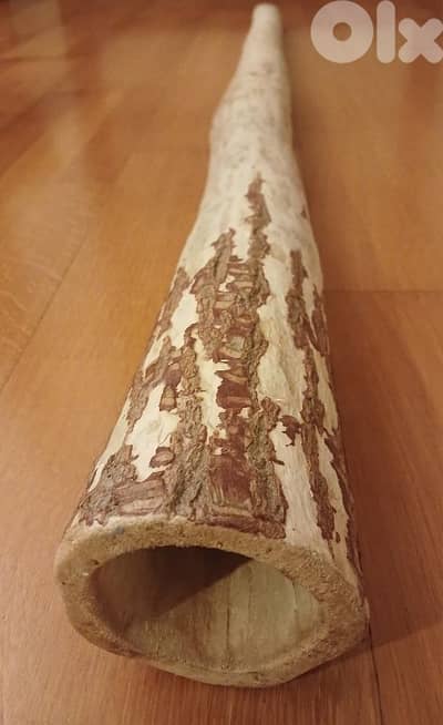 didgeridoo