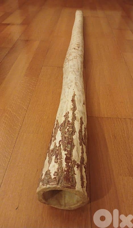 didgeridoo 1