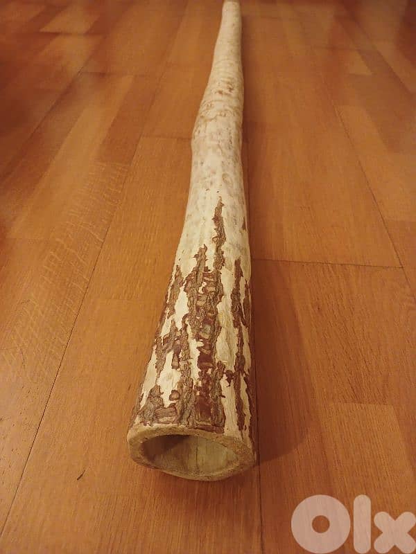 didgeridoo 2