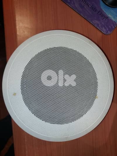 Ic audio Ceiling Speaker × 8 , made in germany