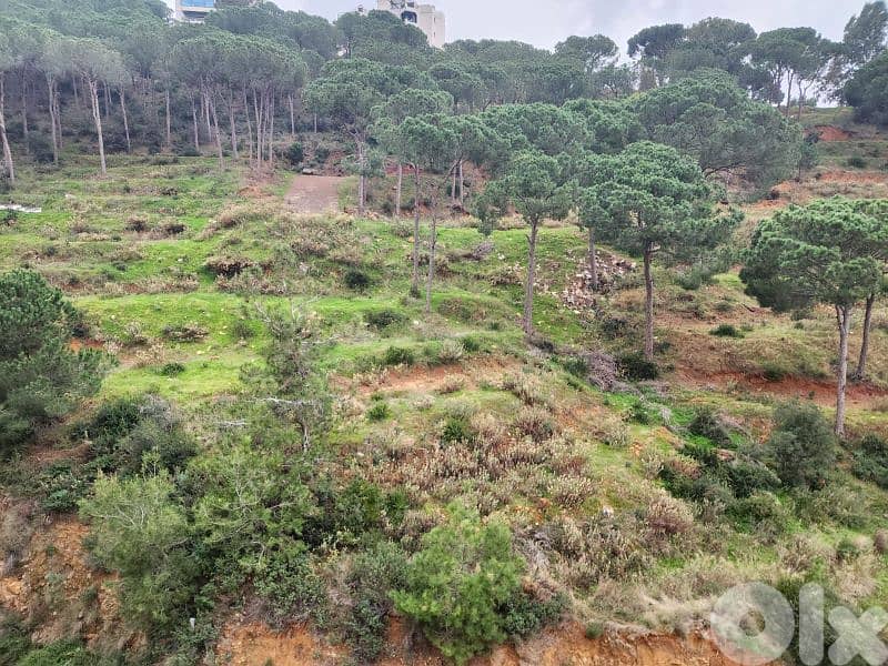 Apartment for sale in ain saadeh شقة للبيع في عين سعادة 0