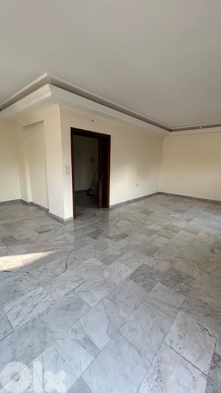 Spacious Apartment for Rent in Quiet Zone D 0