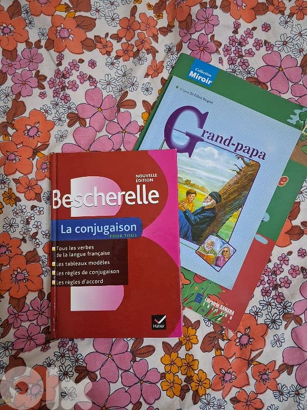 French books 0
