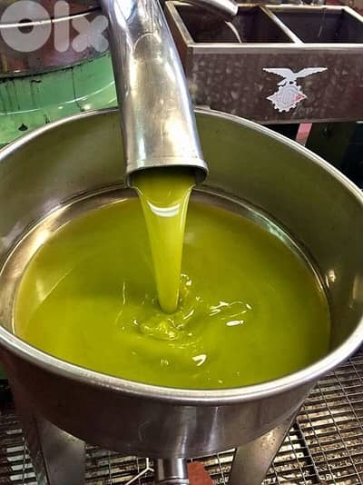 زيت زيتون بكر ممتاز 2025  – عصر على البارد