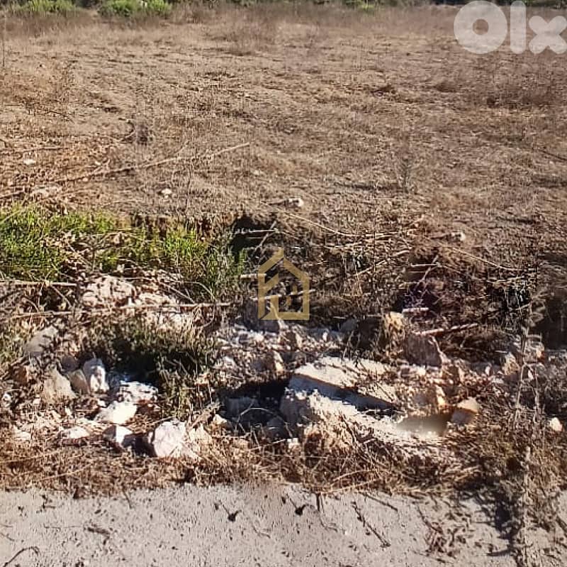 Land for sale in Ghineh RC26 أرض للبيع في غينة 1