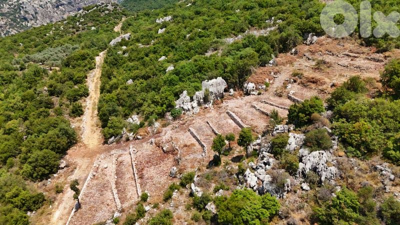 lands for sale in Doumaأرض للبيع في دوما 0