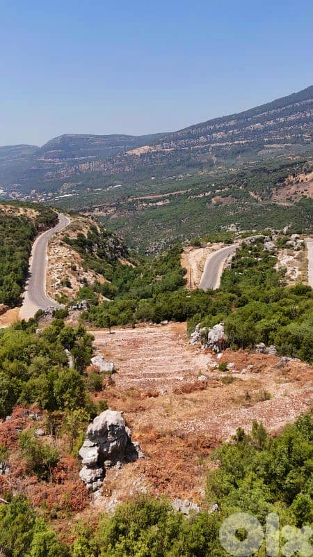 lands for sale in Doumaأرض للبيع في دوما 1