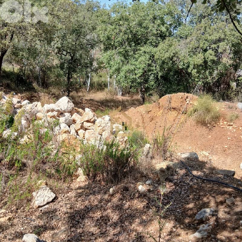 Land for sale in Araya RC29 أرض للبيع في عاريا 1