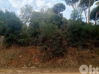 Land for sale in beit mery