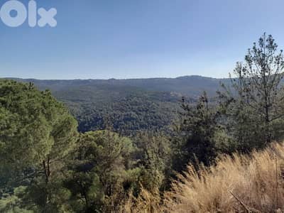 Land for sale in broummana ouyoun