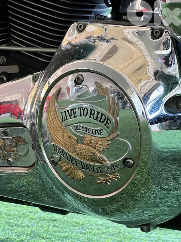 Harley Davidson Fat boy 14,000 km brand new! 18