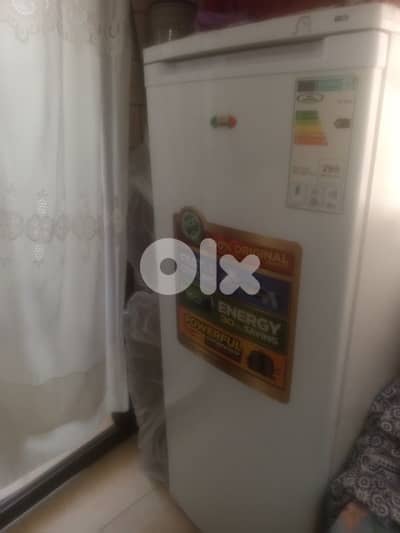 300$ freezer inverter like new
