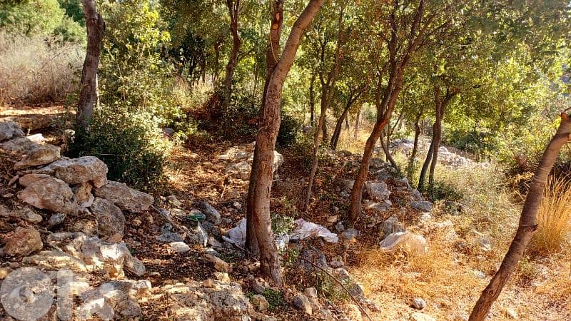 lands for sale in Oura أرض للبيع في عورا 0