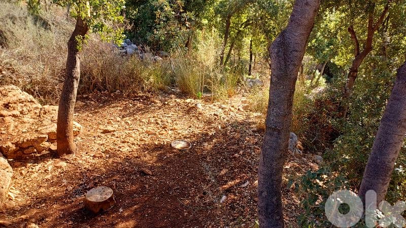 lands for sale in Oura أرض للبيع في عورا 1