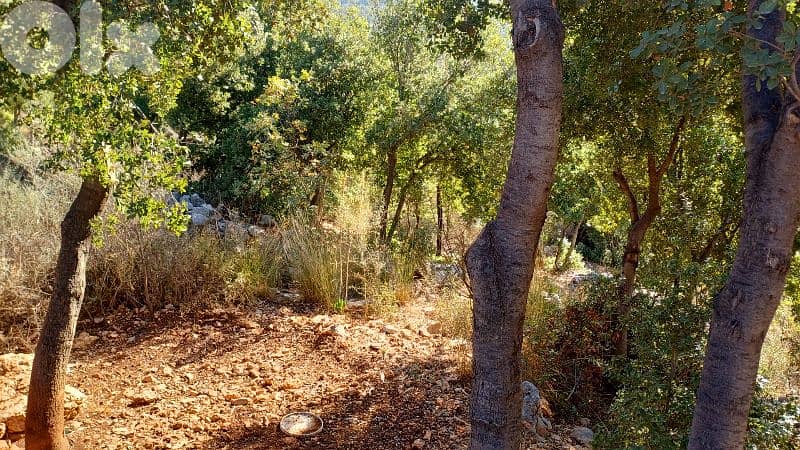 lands for sale in Oura أرض للبيع في عورا 2