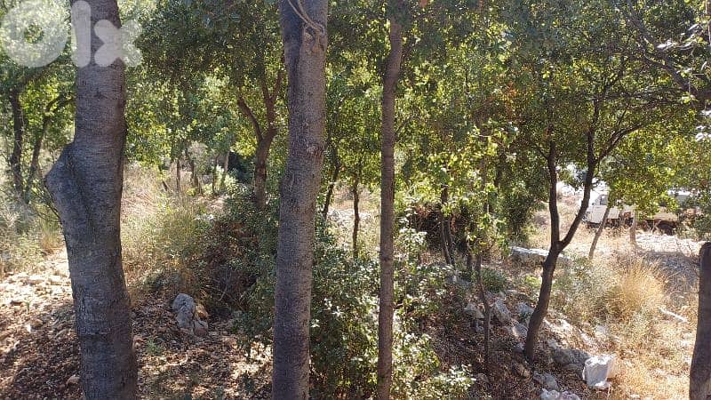 lands for sale in Oura أرض للبيع في عورا 3